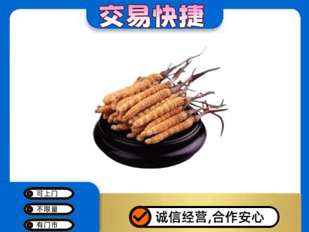 漯河礼品回收散虫草.jpg